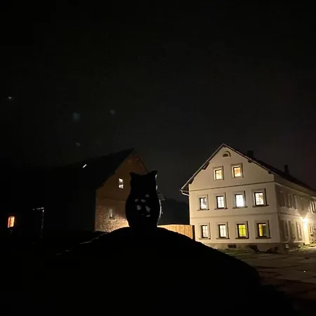 Statek 85 * Mařenice